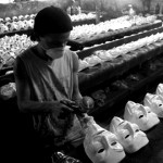 ddt21-Fabrication du masque de Guy Fawkes au Brésil